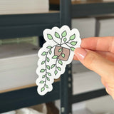 Hand-drawn sticker - Trailing plant- Size L