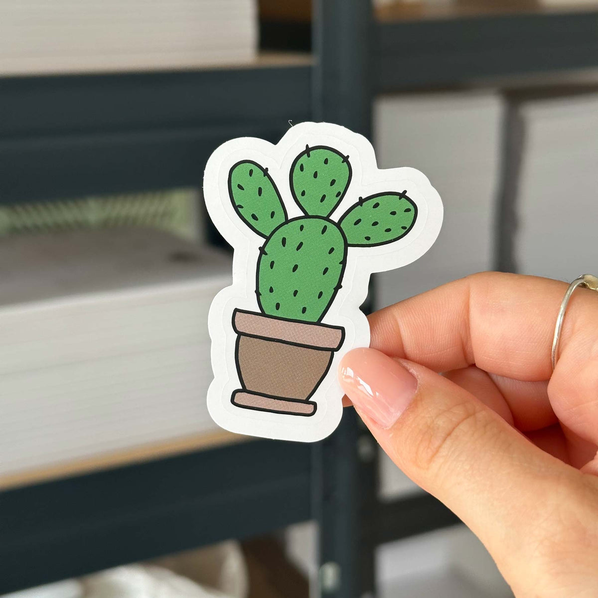 Hand-drawn sticker - Cactus - Size M