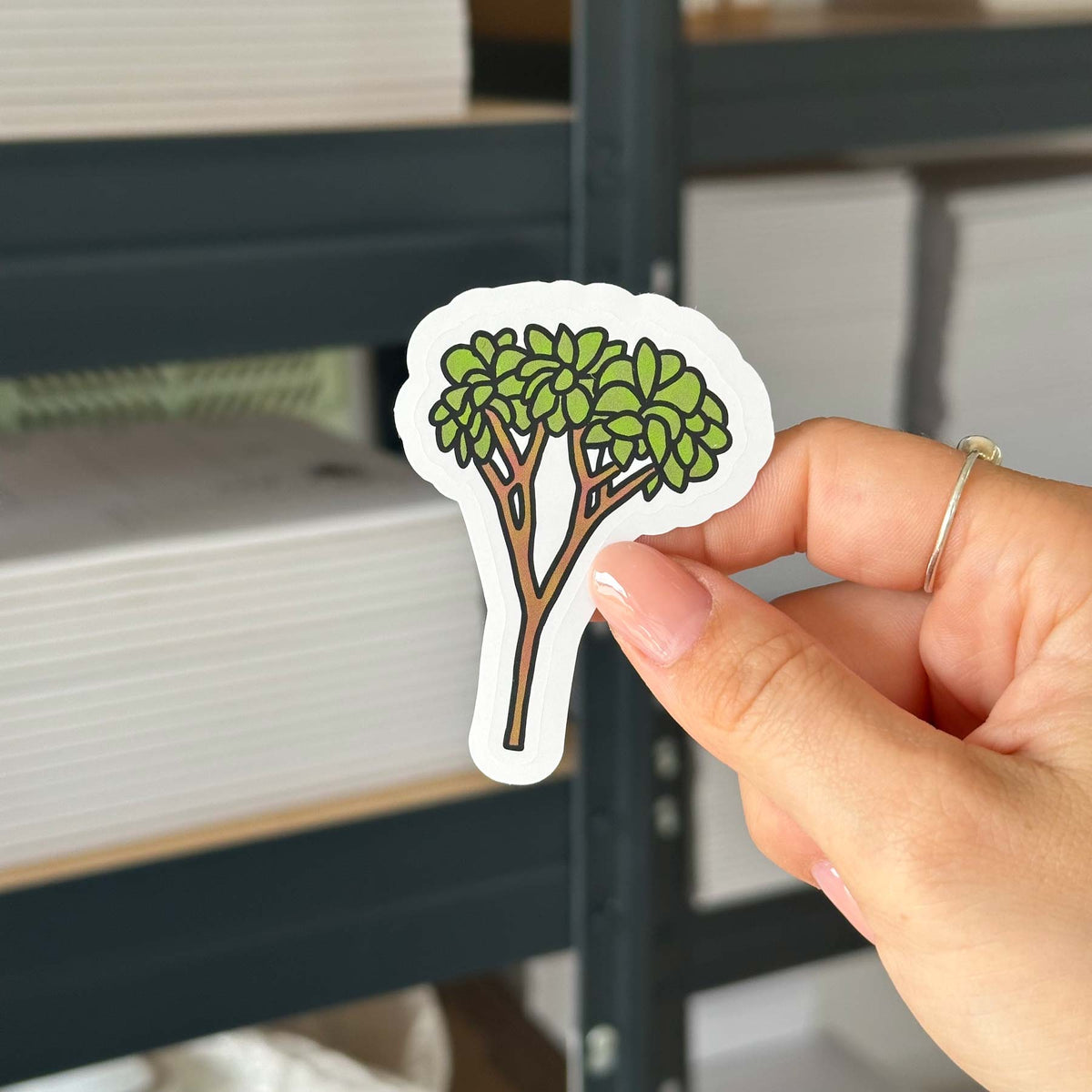 Hand-drawn sticker - Banana tree - Size M