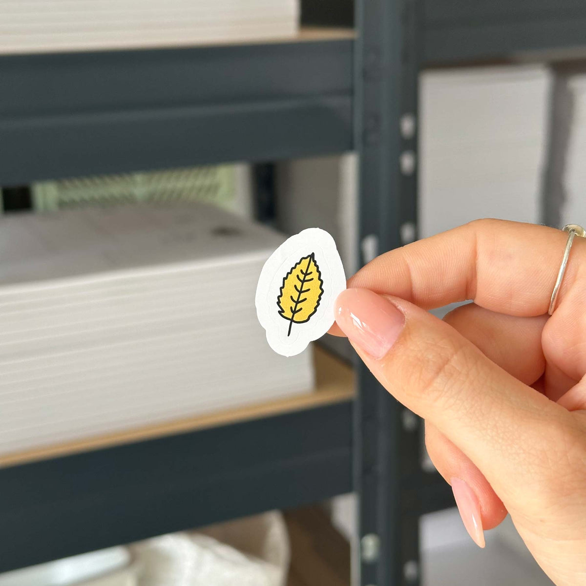 Hand-drawn sticker - Leaf 5 - Size S