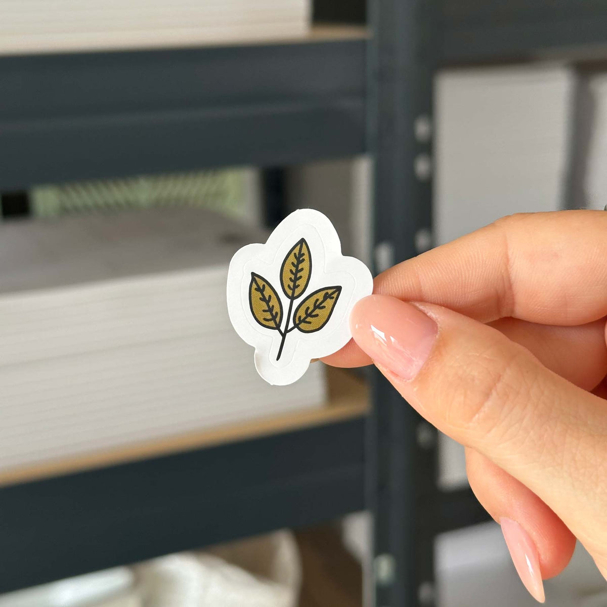 Hand-drawn sticker - Leaf 6 - Size S
