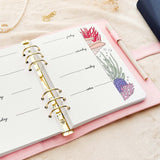 June - Corals theme - Monthly Journal Insert Undated - 16 hand-drawn pages