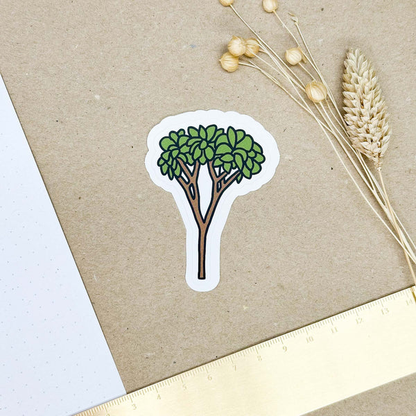 Hand-drawn sticker - Banana tree - Size M