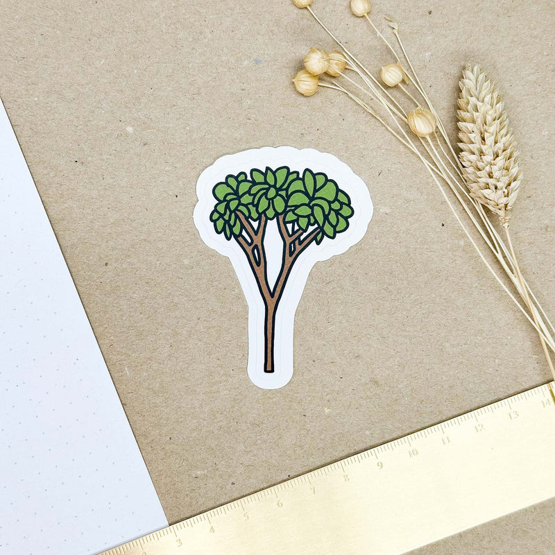 Hand-drawn sticker - Banana tree - Size M