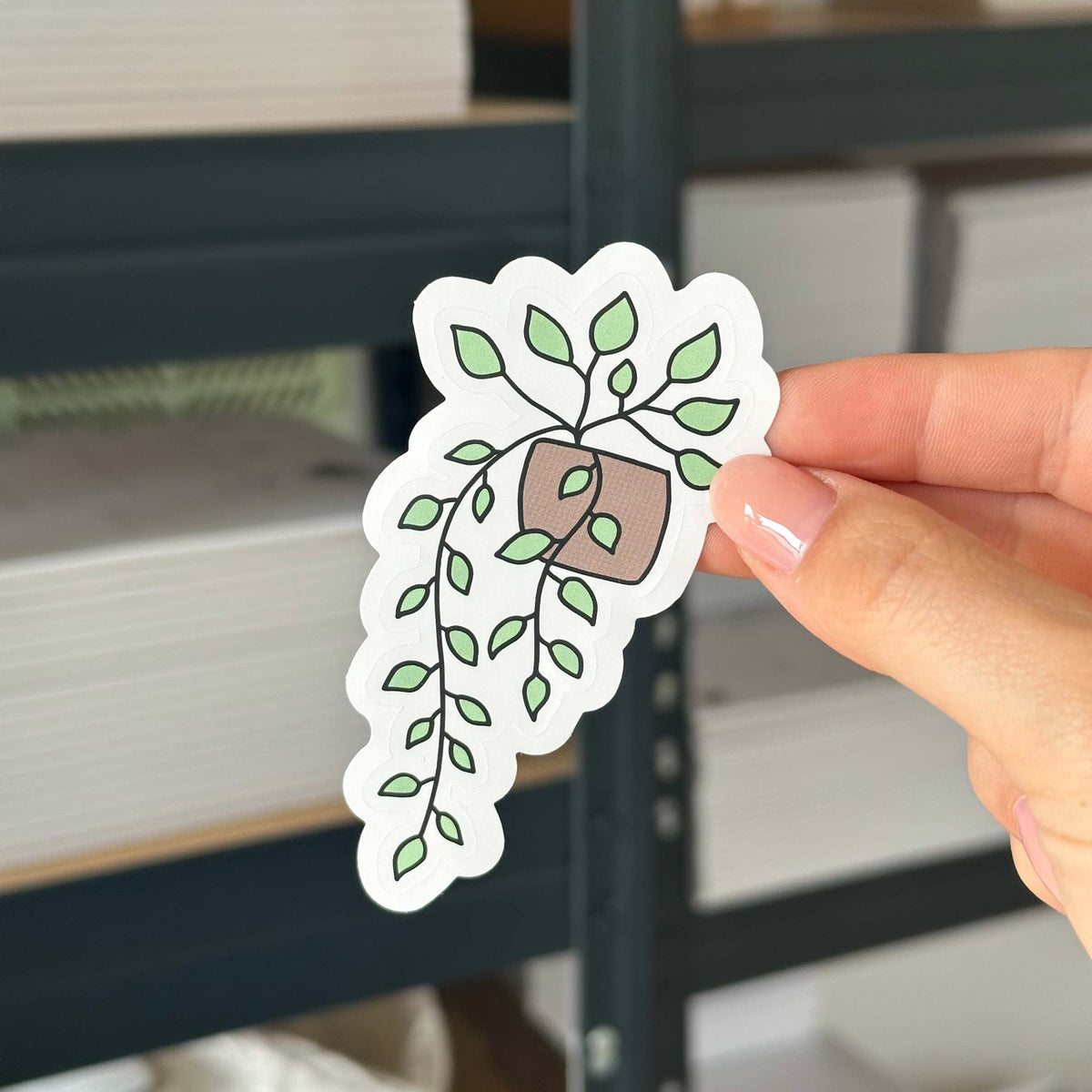 Hand-drawn sticker - Trailing plant- Size L