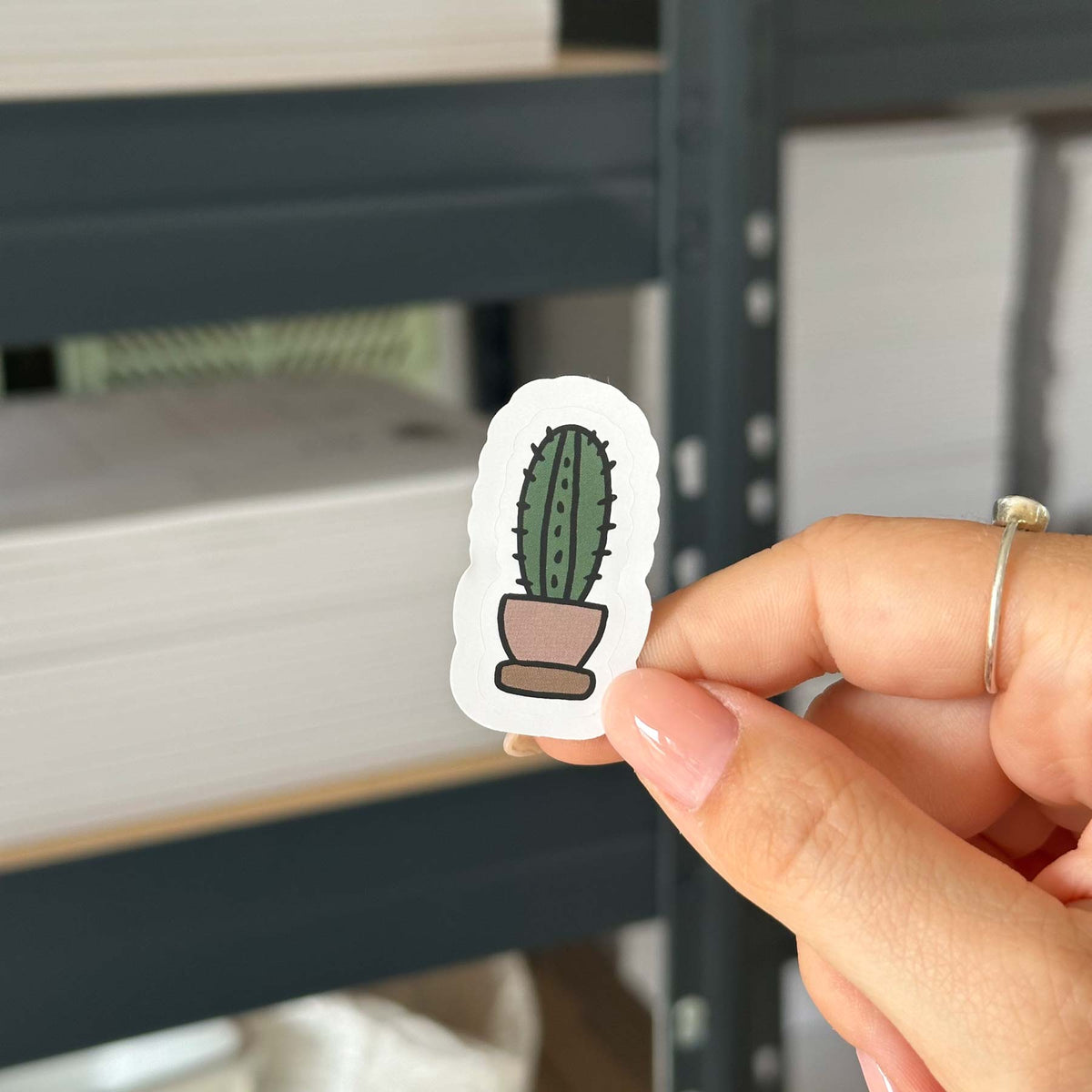 Hand-drawn sticker - Mini cactus - Size S