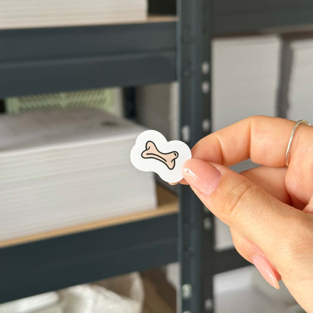 Hand-drawn sticker - Bone - Size S